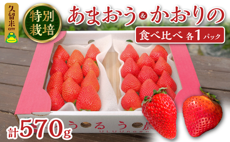 あまおう&かおりの【人気品種】食べ比べ 各1パック(計約570g)_Fi027