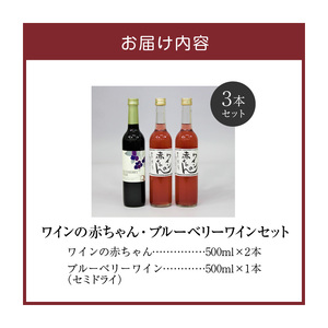 女性に大人気！  ワインの赤ちゃん（500ml×2本）ブルーベリーワイン（500ml×1本）の3本セット_ワインの赤ちゃん・ブルーベリーワイン3本セット_Ew004