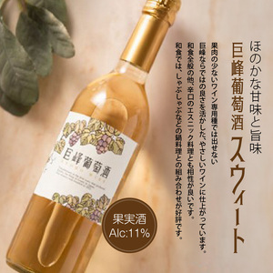 久留米市田主丸町で育った葡萄100％ 巨峰ワイン2種セット（720ml×2本）_巨峰ワイン2本セット_Ew003