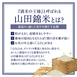 久留米市城島産 山田錦米100％使用の地酒「榮」2本セット(720ml×2本)_久留米市城島産 山田錦米100％使用の地酒「榮」2本セット(720ml×2本)_Ej013