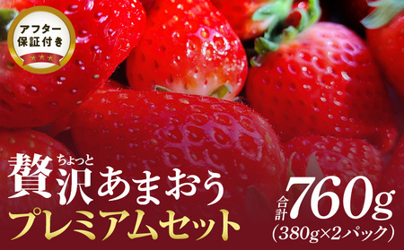 ちょっと贅沢あまおうプレミアムセット_あまおう プレミアム セット 380g × 2パック 久留米産 糖度 酸度 バランス エコ 農産物認証制度 完熟 ゆりかーご いちご デザート おやつ 果物 フルーツ 永田農園 グルメ お取り寄せ お取り寄せグルメ 福岡県 久留米市 送料無料_Fi043