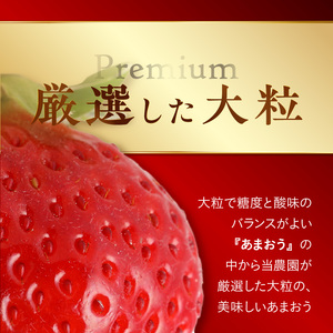 池田農園の完熟あまおうプレミアムギフト