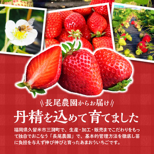 あまおういちご_いちご あまおう 2パック 2箱 計4パック 果物 フルーツ 産地 福岡 久留米 九州産 長尾農園 ストロべリー 甘い スムージー いちごジャム お取り寄せ お取り寄せフルーツ 食品 食べ物 おやつ お菓子作り 送料無料_Fi047