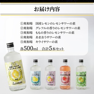 【年内発送】爽和場（サワーバー） 飲み比べ5本セット_爽和場 サワーバー 5種類 飲み比べ 500ml 5本 セット レモンサワーの素 割るだけ 糖類ゼロ プリン体ゼロ レモン グレープフルーツ もも キウイ あまおう レモンサワー サワー リキュール お酒 福岡 久留米 送料無料_Ew006