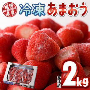 福岡県産 冷凍あまおう 2000g（500g×4パック）_いちご 冷凍 あまおう 合計約2000g 約500g × 4パック ヨーグルト アイス ジャム スムージー 果汁 福岡県産 果物 フルーツ スイーツ 久留米市 お取り寄せ 送料無料 〔Fi210〕 7,110円