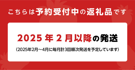 先行予約！『いちごの定期便』福岡県産 あまおう 合計約1680g（約280g×2パックを2月3月4月の3回） 2025年2月より順次発送_いちご 先行予約 定期便 3回 あまおう 約280g × 2パック 合計 約 1680g 2025年2月より順次発送 イチゴの王様 果汁 栄養 風邪予防 健康 アンチエイジング 美容 福岡県産 果物 フルーツ スイーツ 久留米市 お取り寄せ 送料無料_Fi051