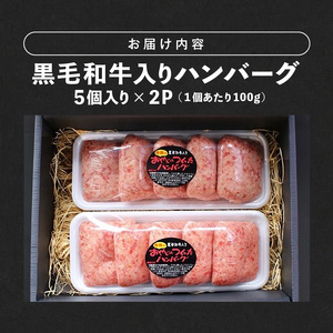 黒毛和牛入りハンバーグ_ソース不要 黒毛和牛入り 100グラム×5個×2パック 牛肉 ハンバーグ ふわふわ 柔らかい 雄勝 おやじのつくったハンバーグ おかず 晩ごはん お弁当 福岡県 久留米市 送料無料_Ax028