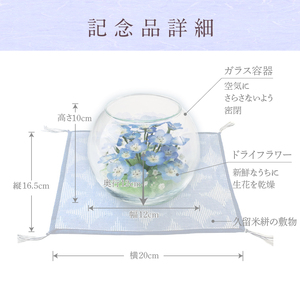 ネモフィラとカスミ草のボトルフラワー（久留米絣敷物付き）_ネモフィラ カスミ草 ボトルフラワー 幅 奥行 120mm 高さ 100mm 久留米絣 敷物 付き ドライフラワー ガラス 容器 青空 ブルー 満開 株 覆うくらいの花 清楚 お手入れ 簡単 人気 インテリア お祝い 記念 ギフト 贈り物 福岡県 久留米市 送料無料_Qb019