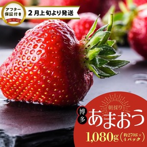 【2月上旬より順次発送】農家直送 朝採り新鮮いちご【博多あまおう】約270g×4パック_博多 あまおう 約270g × 4パック 朝採り 新鮮 いちご 農家直送 冷蔵 苺専用パッケージ 福岡県 久留米市 フルーツ 果物 生食 果実 青果 食品 甘い みずみずしい 果肉 果汁 スイーツ ジュース デザート タルト 贈り物 ギフト 送料無料 〔Fi053〕