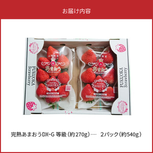 福岡県産【特別栽培】サイズおまかせ（DX～G等級）完熟あまおう　270g×2パック