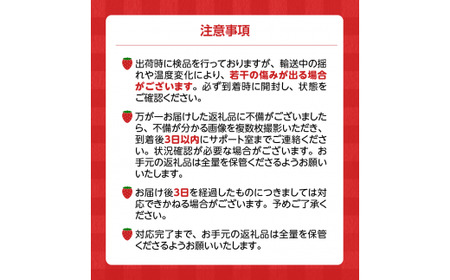 福岡県産【特別栽培】サイズおまかせ（DX～G等級）完熟あまおう　270g×2パック