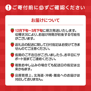 福岡県産【特別栽培】特選DX等級完熟あまおう　270g×2パック