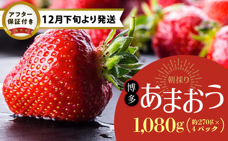 【12月下旬より順次発送】農家直送 朝採り新鮮いちご【博多あまおう】約270g×4パック_【12月下旬より順次発送】 農家直送 朝採り 新鮮 いちご 博多 あまおう 約 270g×4パック_Fi060