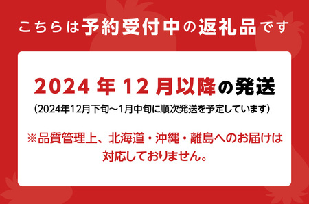 【12月下旬より順次発送】農家直送 朝採り新鮮いちご【博多あまおう】約270g×4パック_【12月下旬より順次発送】 農家直送 朝採り 新鮮 いちご 博多 あまおう 約 270g×4パック_Fi060