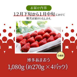 【12月下旬より順次発送】農家直送 朝採り新鮮いちご【博多あまおう】約270g×4パック_【12月下旬より順次発送】 農家直送 朝採り 新鮮 いちご 博多 あまおう 約 270g×4パック_Fi060