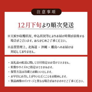 【12月下旬より順次発送】農家直送 朝採り新鮮いちご【博多あまおう】約270g×4パック_【12月下旬より順次発送】 農家直送 朝採り 新鮮 いちご 博多 あまおう 約 270g×4パック_Fi060