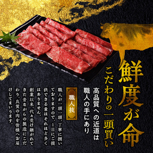 【年内発送】【牛肉】 筑後 船小屋牛 肩スライス【500g】_国産牛 肩 スライス 500g 1パック 船小屋牛 牛肩スライス ジューシー ほど良い脂 味わい深い 上質 旨味 冷凍 牛肉 肉 すき焼き うす切り お取り寄せ お取り寄せグルメ 福岡県 久留米市 送料無料_Ab030