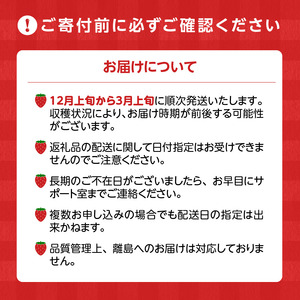 池田農園の特別栽培完熟あまおう　250g×4パック