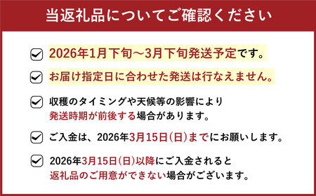 福岡県産 博多あまおう 約1.68kg (約280g×6パック入り) 【2026年1月下旬～3月下旬発送予定】 ※北海道・沖縄・離島配送不可