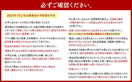 【2025年 3月発送】【アフター対応】特別栽培あまおう 約300g×4パック イチゴ 苺 いちご【2025年1月上旬～3月下旬発送予定】※北海道・沖縄・離島配送不可