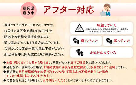 【2025年 3月発送】【アフター対応】特別栽培あまおう 約300g×4パック イチゴ 苺 いちご【2025年1月上旬～3月下旬発送予定】※北海道・沖縄・離島配送不可