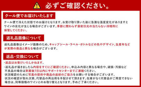 福智山ダム熟成 シャンパン 2本セット FD405 高級 ドン・ペリニヨン 酒 お酒 冷蔵 福岡県 直方市