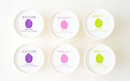 ふくのこジェラート 6個セット ジェラート シャーべット アイス スイーツ 博多あまおう 博多甘うぃ まるごと巨峰 米粉 添加物 たまご 乳 不使用