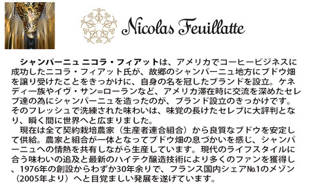 福智山ダム熟成 シャンパン 750ml FD309 シャンパーニュ 酒 お酒