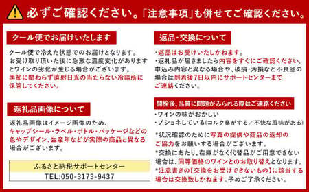 福智山ダム熟成 Medoc4級 高級赤ワイン FD133 MG4級 シャトー・ラフォン・ロシェ 750ml 1本 熟成ワイン ワイン 赤 酒 お酒
