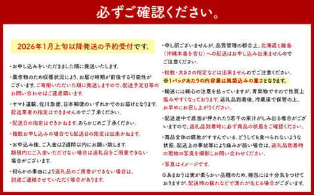 【2026年 1月発送】【アフター対応】特別栽培あまおう 約300g×4パック イチゴ 苺 いちご ※北海道・沖縄・離島配送不可