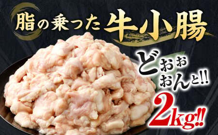 【2026年1月発送】もつ鍋セット 20人前 （醤油味） 牛モツ2kg もつ鍋 ホルモン モツ 牛モツ 醤油 しょうゆ 鍋 セット 福岡