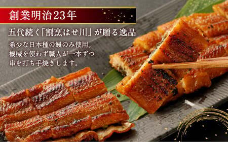鹿児島産 鰻 蒲焼き 2本 約300～350g セット 老舗130年の味