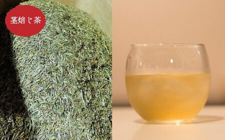 前田園 お茶 プレミアム 3種 Bセット 計120g 白折 玄米 ほうじ茶