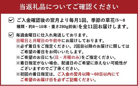 【定期便 11ヶ月】草花ノ定期便 Mサイズ 5～8種類 約8～10本