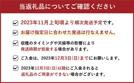 【2023年11月上旬より順次発送】福岡県産 博多甘うぃ 約3.6kg (20玉～27玉入り) キウイ キウイフルーツ