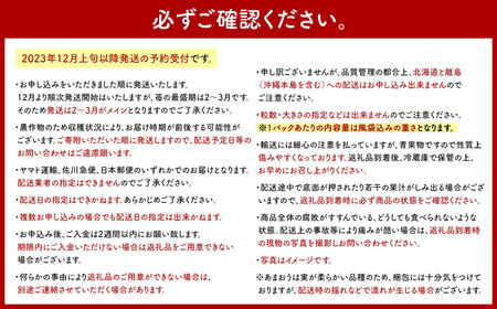 アフター対応】特別栽培あまおう 約300g×4パック イチゴ 苺 いちご