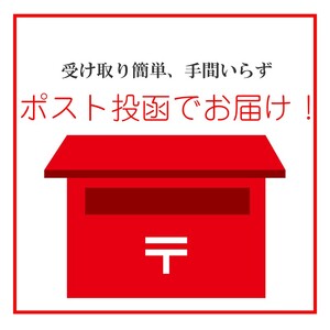 ＼ポスト投函／するめ角天 ゆうパケットでお届け！するめ 角天 スルメ イカフライ おつまみ おやつ ぽすと投函【Z3-038】