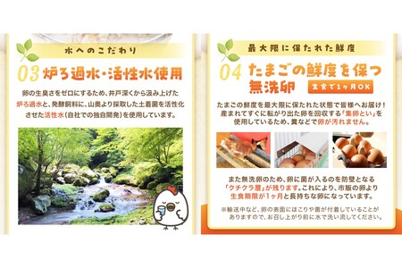 〈平飼い卵〉あかねの虜(40個/月)【12カ月定期便】飯塚市 たまご 平飼い 福岡 TKG たまごかけ ふるさと納税 卵【J95-005】