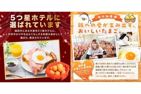 〈平飼い卵〉あかねの虜(40個/月)【12カ月定期便】飯塚市 たまご 平飼い 福岡 TKG たまごかけ ふるさと納税 卵【J95-005】
