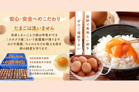 テトラエッグ40個入【A5-459】