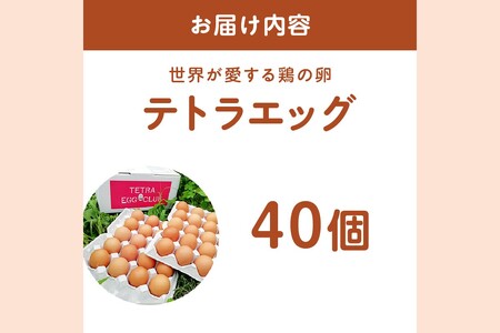 テトラエッグ40個入【A5-459】