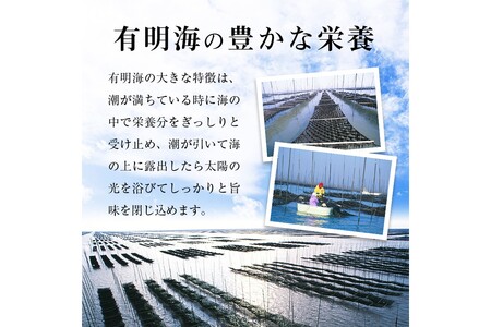 【訳あり】有明海産 焼き海苔 2切8枚×13袋 合計104枚【A2-126】訳あり 有明海産 焼き海苔 個包装 半切