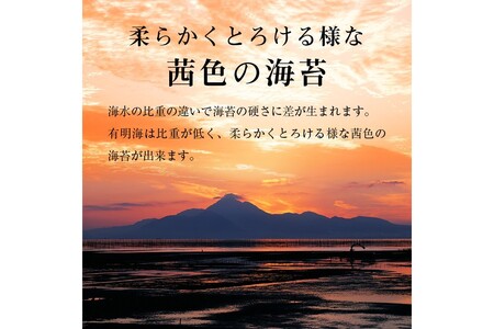 有明海産 味海苔 8切8枚×40袋 合計320枚【A2-127】有明海産 味海苔 個包装