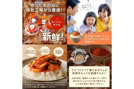 春ばあちゃんの手作りキムチ4点セット加工品 手作り キムチ 白菜キムチ 山芋キムチ ねぎキムチ おつまみ ごはんのお供 個包装 4点 4種 セット【A-816】