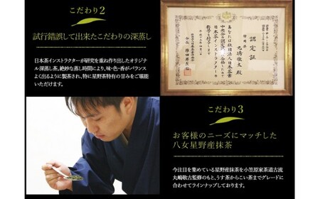 八女星野玉露ティーバッグ（50パック）玉露 高級茶 福岡県八女 八女星野茶 茶 冷茶 星乃華 緑茶 香り 八女 星野 ティーバッグ 深み 甘味 お茶【A5-251】