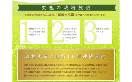 八女星野玉露ティーバッグ（50パック）玉露 高級茶 福岡県八女 八女星野茶 茶 冷茶 星乃華 緑茶 香り 八女 星野 ティーバッグ 深み 甘味 お茶【A5-251】