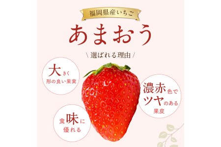 福岡県特産！『あまおう』＜先行予約＞【A5-289】あまおう いちご 苺 福岡県産 福岡 飯塚市