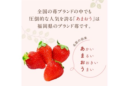 福岡県特産！『あまおう』＜先行予約＞【A5-289】あまおう いちご 苺 福岡県産 福岡 飯塚市