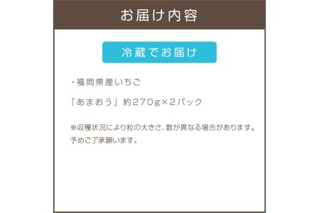 福岡県特産！『あまおう』＜先行予約＞【A5-289】あまおう いちご 苺 福岡県産 福岡 飯塚市