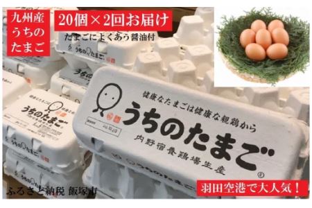 うちのたまご醤油セット(2回お届け)【B3-011】たまごかけご飯 卵 親鶏 養鶏